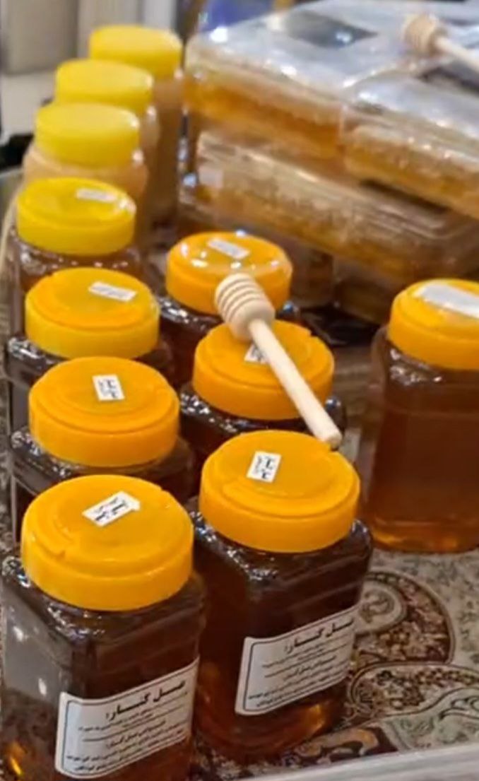 photo_2025-02-28_22-30-32